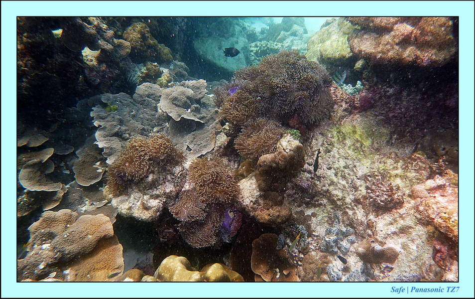 2011 - 07 - Koh Lipe 64